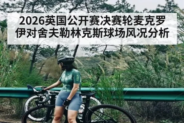 2026英国公开赛决赛轮麦克罗伊对舍夫勒林克斯球场风况分析